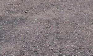 Parrot Takes Joyride on RC Truck