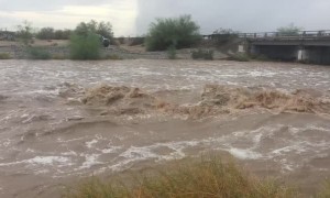 Mass Flash Flooding in Yuma Arizona