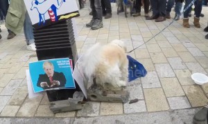 Remainer dog poos on Nigel Farage