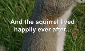 Police Bodycam Captures Good Samaritan Rescuing a Squirrel