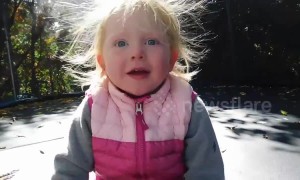 Toddler's hair becomes an adorable static mess after jumping on trampoline