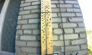 Woodpecker Discovers CCTV Camera