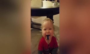 Baby Cracks Up at The Sound of His Whistle