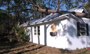 Huge pine tree crashes into bedroom of Florida home
