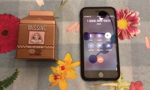 Children's Toy or Adult Toy?