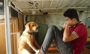 Best Workout Buddy Ever