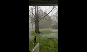 Michael downgraded to tropical storm status, brings winds and rains to Virginia