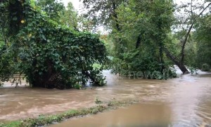Dramatic footage shows heavy flooding in North Carolina after Michael