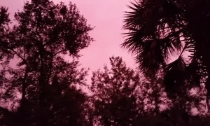 Sky Turns Neon Pink After Hurricane Michael