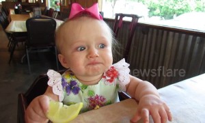 Adorable moment baby eats lemon for the first time