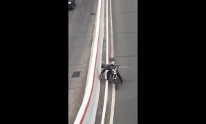 Hero motorcyclist rescues injured puppy on busy road