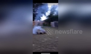 Firework gender reveal ends in disaster