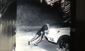 Braking bad: 'Superwoman' shows off muscles by shoving car after parking fail