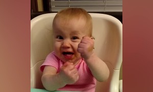 These Babies Insist that They're Right