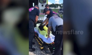 Firefighters rescue abandoned dog after the owners left it for dead