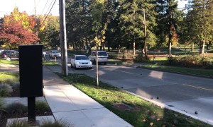 Spilled Steel Balls Cause Chaos on Seattle Hill