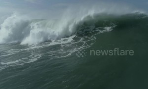 British surfer engulfed by giant wave in terrifying wipeout off Portugal