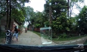 Cow Moos Down Riders