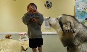 Singing dog loves joining in on kids' music class