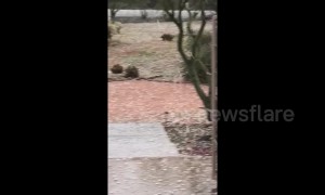 Massive hailstorm hits outskirts of Phoenix, Arizona