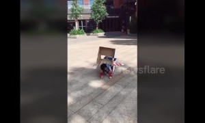 Little boy 'transforms' himself  into police car