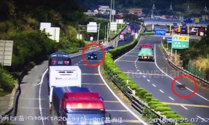 Wild boar runs across the street, suffers tragic roadkill as incoming car fails to stop