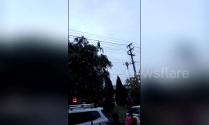 Chinese man filmed "tightrope walking" on high-voltage power lines