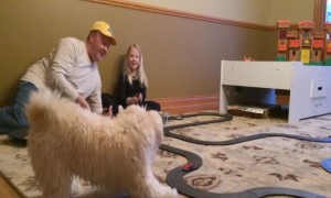 Dog Doesn't Know What to Do about Race-car Toy