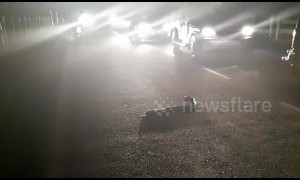 Snake rescuer halts traffic to help cobra cross busy road in India