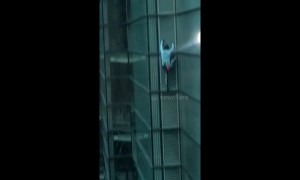 ‘French Spiderman’ seen climbing City of London tower