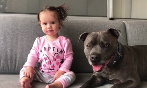 Baby and dog have same priceless reaction after tasting lime