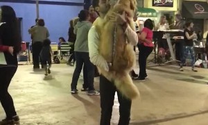 Doggy Dancing Partner