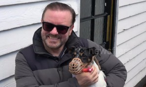 Ricky Gervais attends Halloween dogs event in London