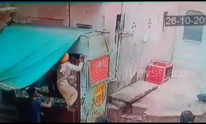 Snake charmer chases monkey after it snatches his cobra