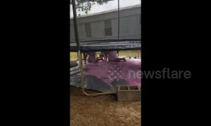 Couple get soaked in unusual gender reveal tactic