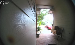Woman Caught Red-Handed Stealing Packages at Doorstep