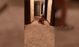 Young boy with rare disease could literally be frightened to death