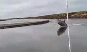 Boat Wheelie