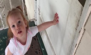 Cute Tot isn't Letting Playtime with Dad End any time Soon!