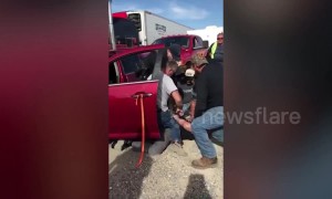 UFC star Stephan Bonnar pinned to the ground and arrested for DUI