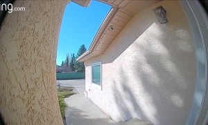 Thieves Caught and Confronted by Doorbell Camera