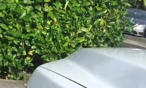 Unattended Baby Left in Backseat