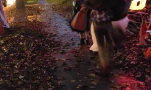Trick-Or-Treater Caught off Guard