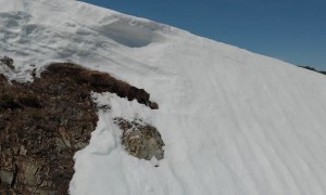 Fallen Bear Cub Climbs Back to Mama
