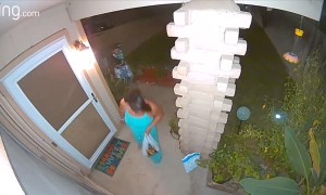 Halloween Trick or Treat Package Thief