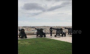 What are the odds?! Pigeons gets shot by cannon