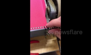 Spiral binding will bring you to a satisfying revolution