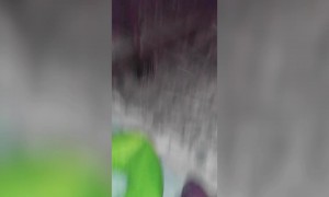 Sisters have Funny Sled Fails