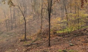 Hunter Catches Buck on Camera