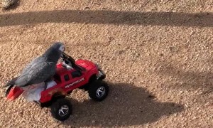 Parrot Has The Need For Speed